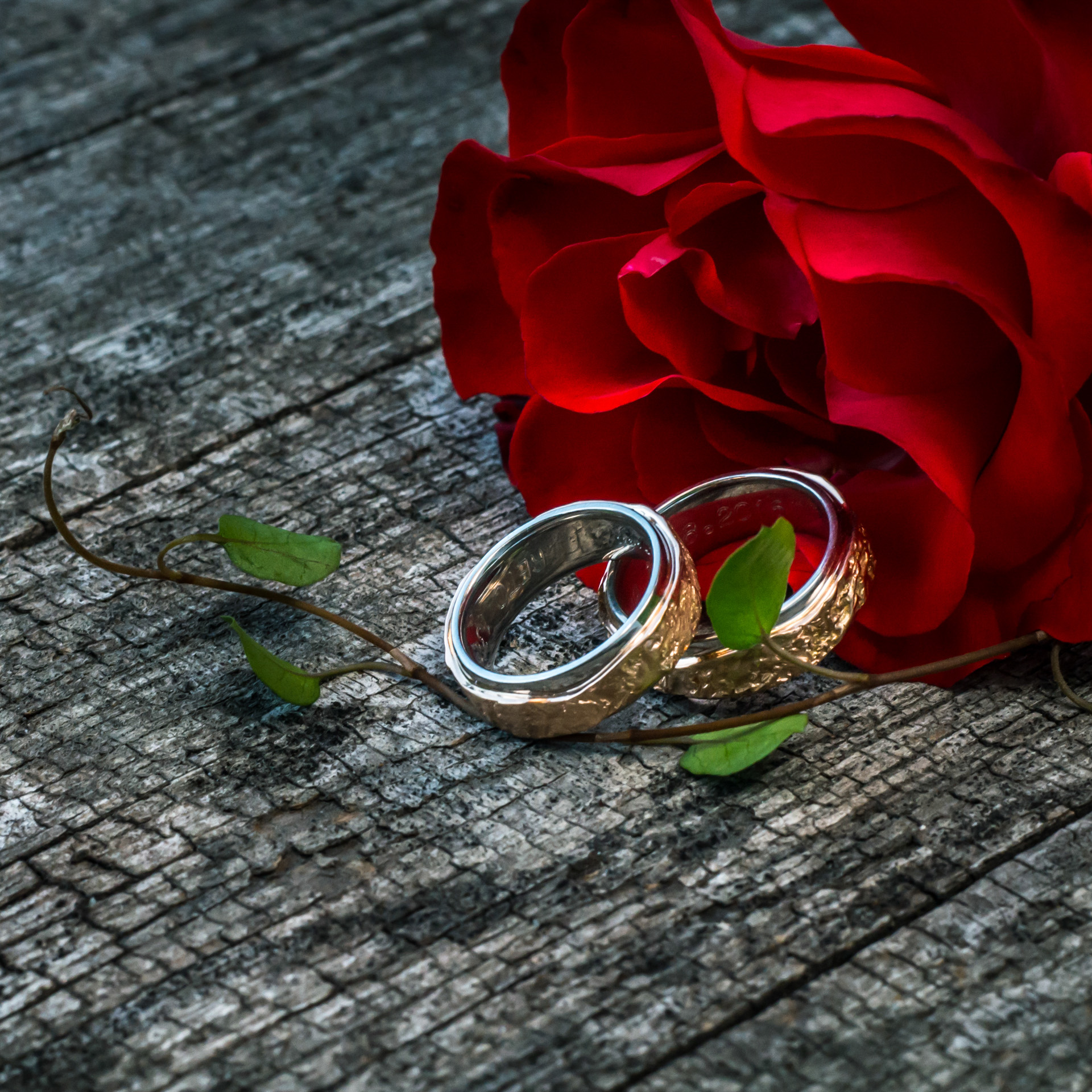 Hochzeiten_Weddings_39_long_1920px